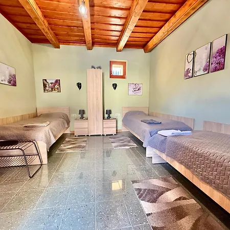 Lavanda Vendeghaz Nemetker
